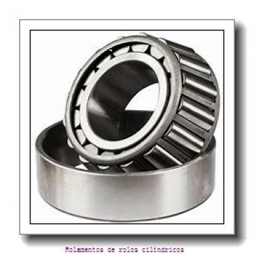 190 mm x 300 mm x 85,7 mm  Timken 190RF91 rolamentos de rolos cilíndricos