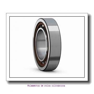 105 mm x 190 mm x 36 mm  NKE NUP221-E-TVP3 rolamentos de rolos cilíndricos